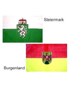 Bundeslandflagge Österr. 20x30 cm 