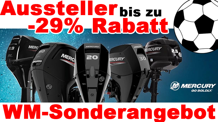 Viele Profi-Angebote zur WM